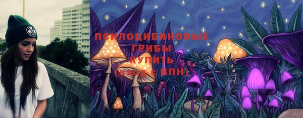 хмурый Алзамай