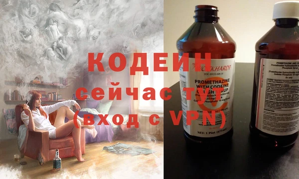 хмурый Алзамай