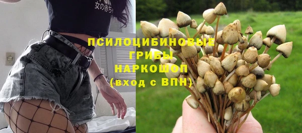 хмурый Алзамай