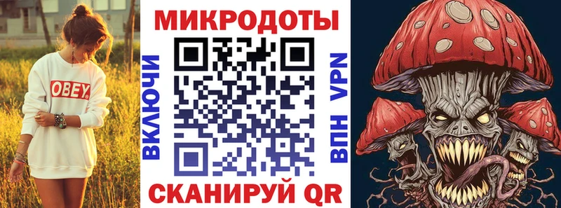 где продают наркотики  Астрахань  Псилоцибиновые грибы Psilocybe 