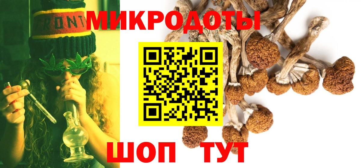Псилоцибиновые грибы MAGIC MUSHROOMS  продажа наркотиков  Астрахань  Вход с VPN 